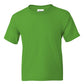Gildan 8000 DryBlend T-Shirt